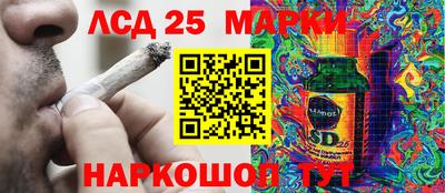 PSILOCYBIN Краснодар